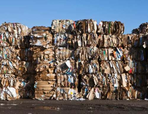 Recyclage papier : bilan 2023