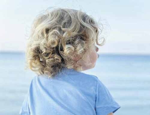 Le bulletin n°27 est paru !