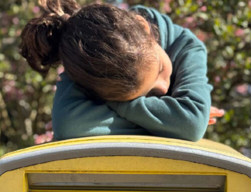 Le bulletin n°28 est paru !