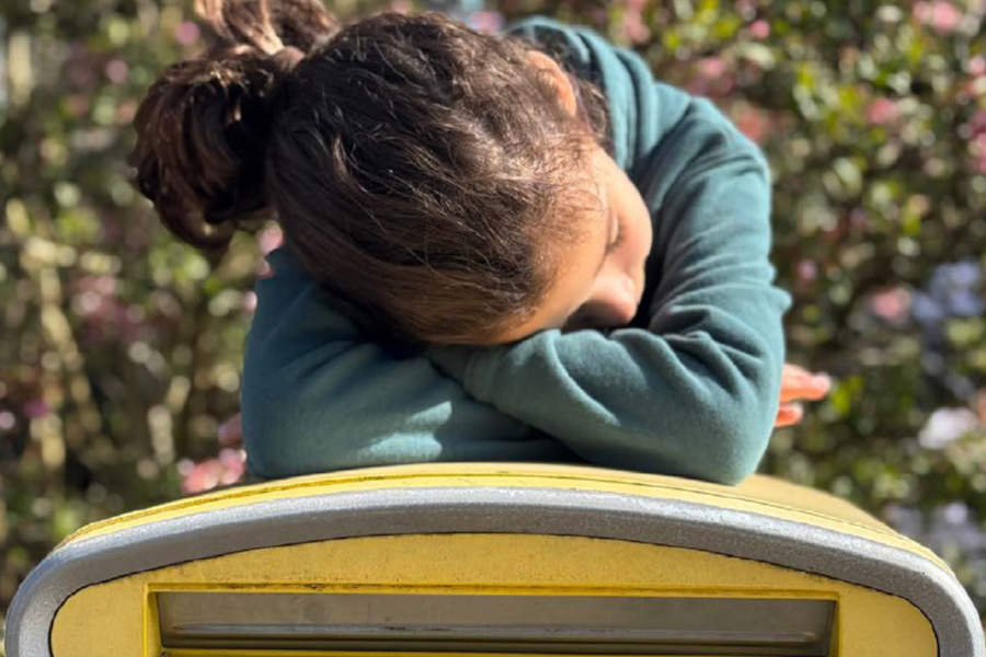 Newsletter • Venezia • Commissaires de justice • Printemps 2025