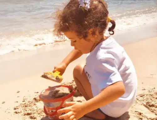 Le bulletin n°29 est paru !