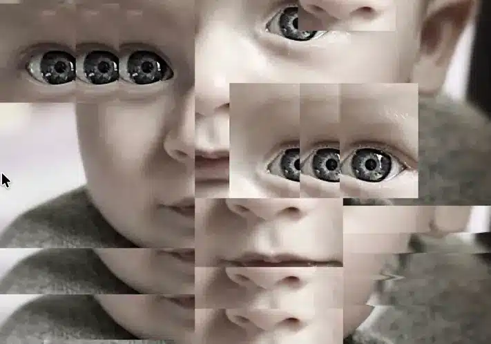 Venezia • Bulletin numéro 30